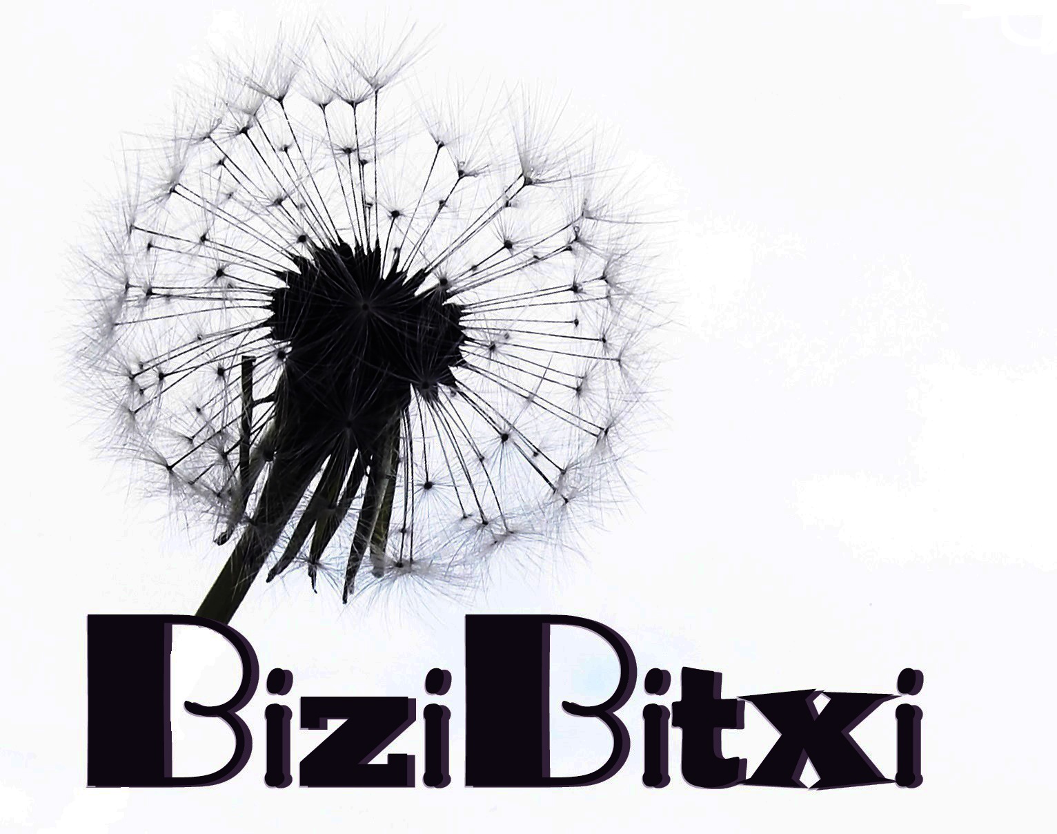 Logotipo BIZIBITXI